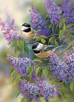 Image of Puzzle Chickadees & Lilacs 1000 pc