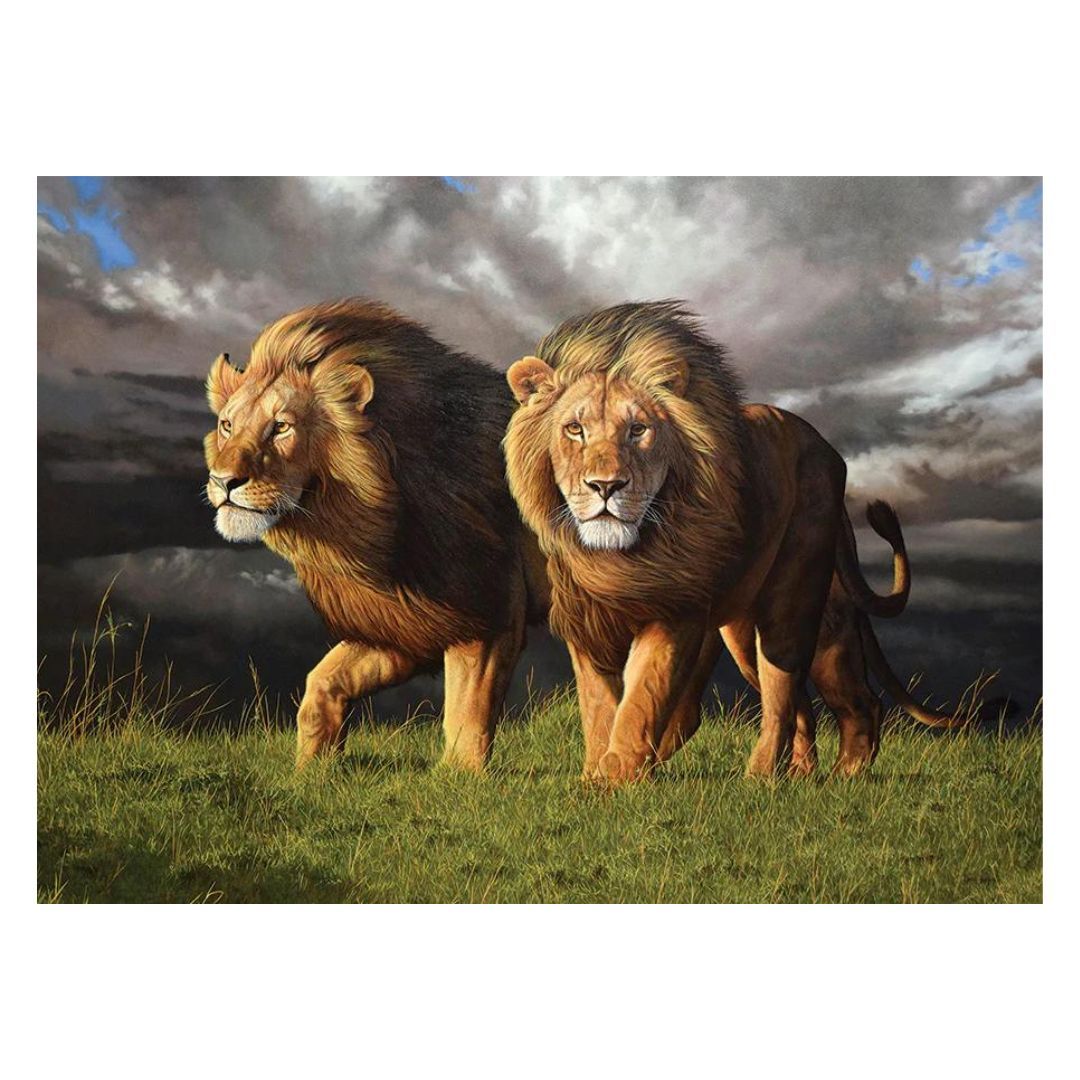 654-0679 Product Image 2