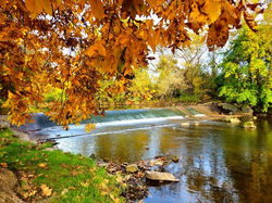 Image of Puzzle Autumn Splendor 1000 pc