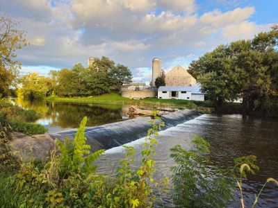 Image of Puzzle Freely Flowing 1000 pc