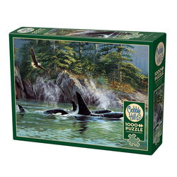 Image of 1000 Pc Puzzle – Orcas