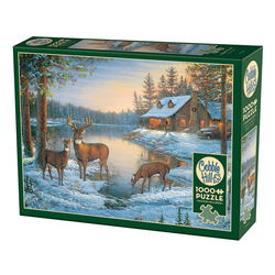 Image of 1000 Pc Puzzle – A Quiet Place