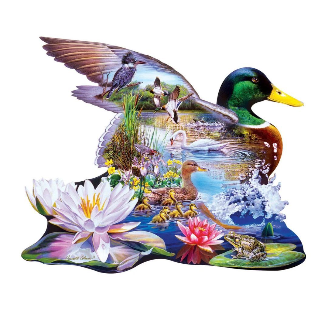 Image of 500 Pc Puzzle – Woodland Ducks