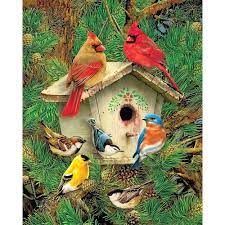 Image of 1000 Pc Puzzle – Feathered Retreat