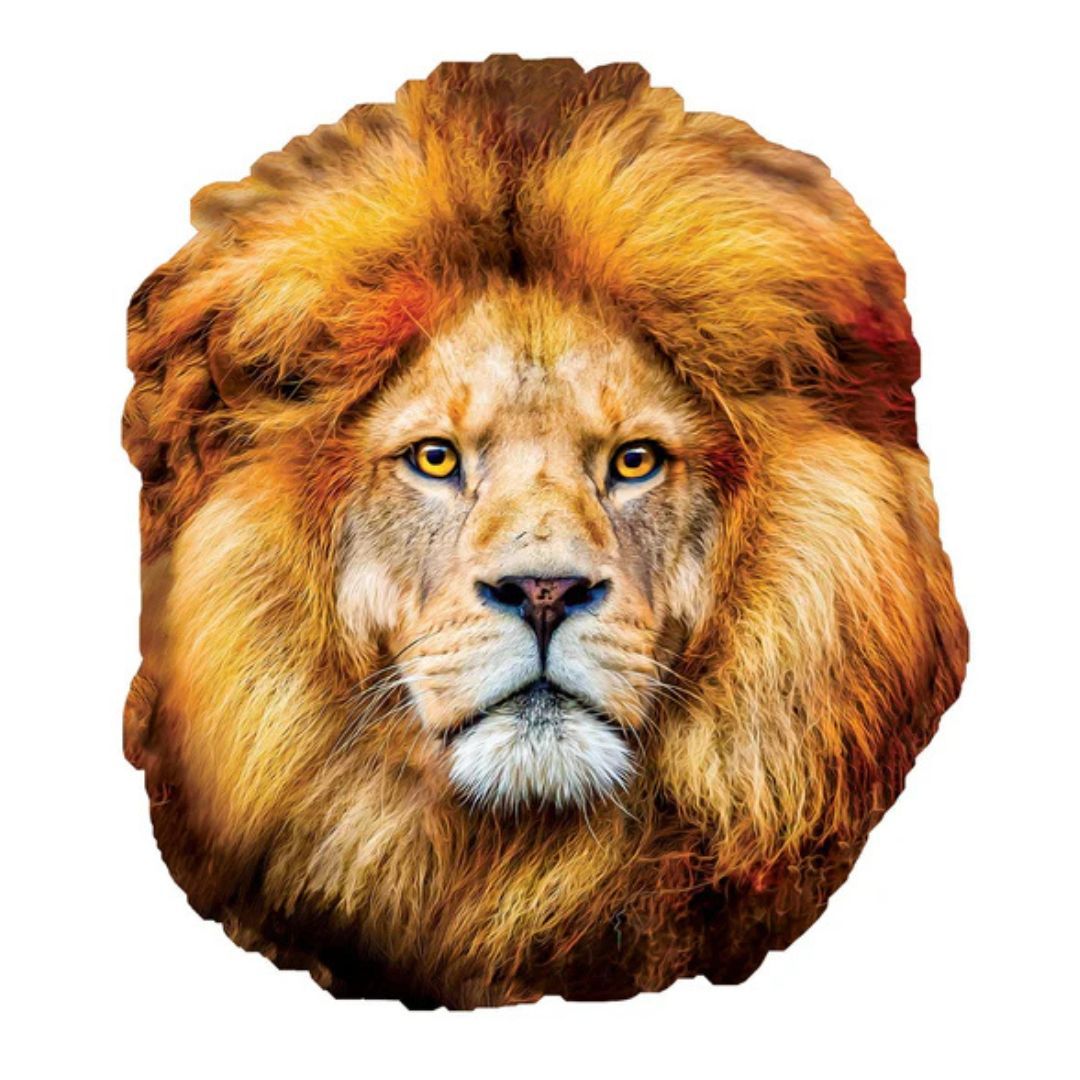 654-0806 Product Image 2