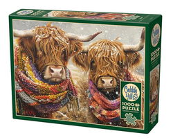Image of 1000 Pc Puzzle – Brrr!