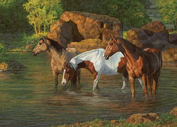 Image of Puzzle Horse Pond 500 pc