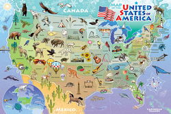 Image of Puzzle Floor Map of the USA 48 pc