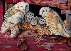 Image of Puzzle Barn Owls 1000 pieces