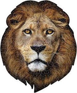 Image of Puzzle I am Lion 550 pc