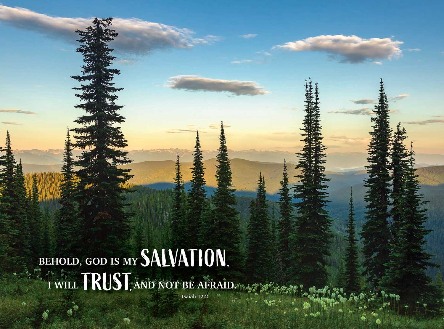 Product 654-2028 - View 1 654-2028 Product Image 1