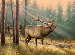 Image of Puzzle Answering the Call 1000 Pc.