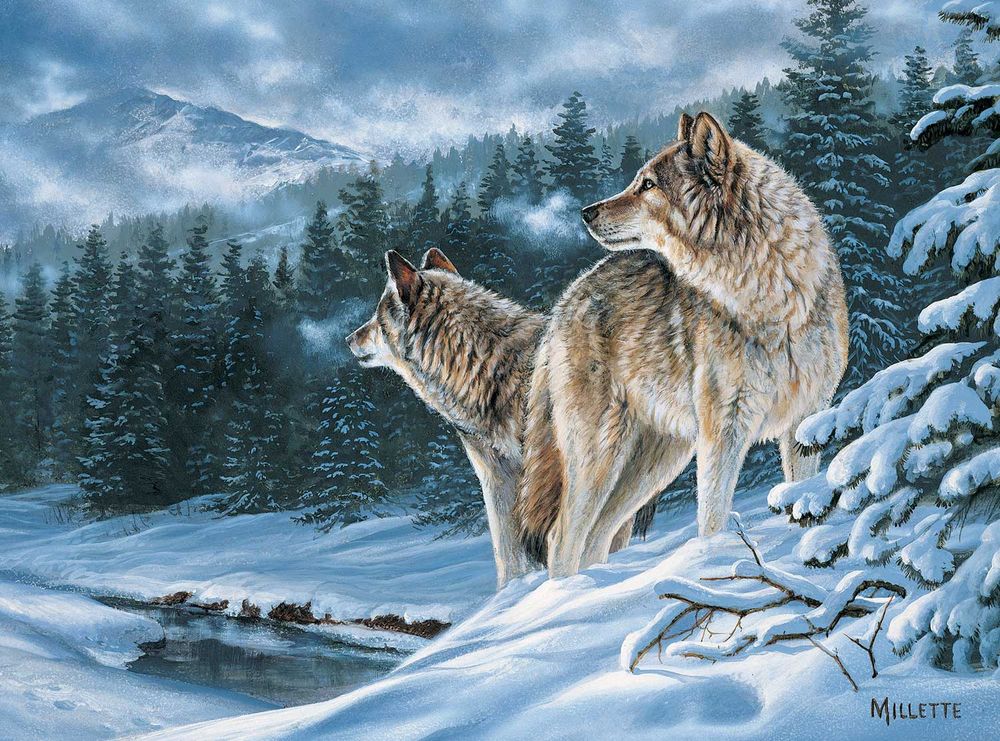 Product 654-2034 - View 1 654-2034 Product Image 1