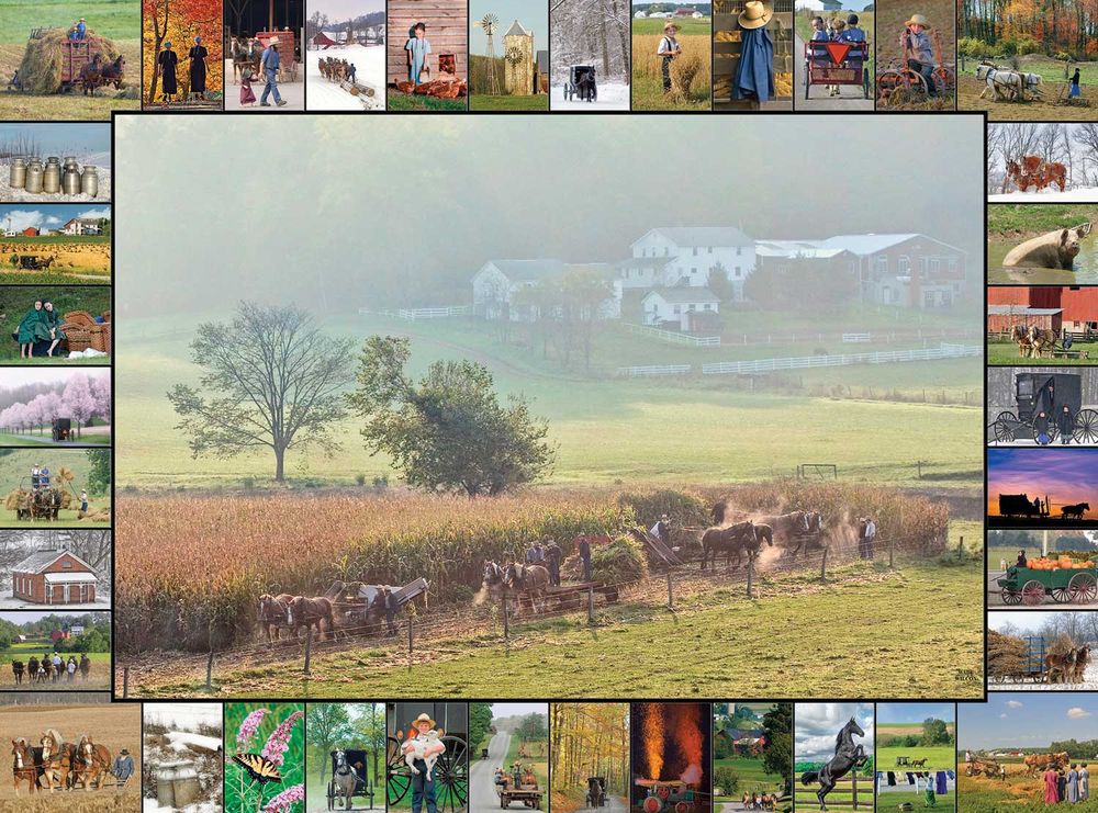 654-2036 Product Image 1