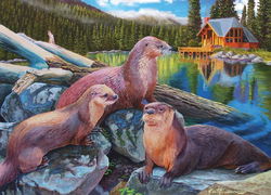 Image of Puzzle River Otters 1000 pc