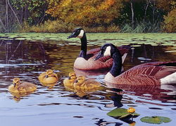 Image of Puzzle Platts Pond (Geese) 1000 pc