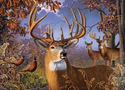 Image of Puzzle Deer and Pheasant 1000 pc