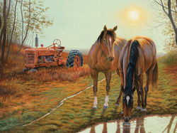 Image of Puzzle Old Farm Hands 500 pc.