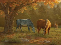 Image of Puzzle Old Oak Tree 500 pc.