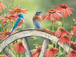 Image of Puzzle Hiding in Plain Sight 500 pc.