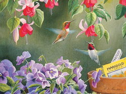 Image of Puzzle Garden Delights 500 pc.