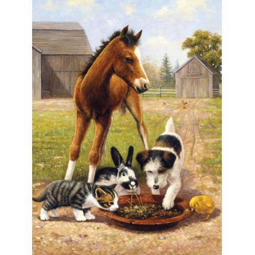 658-0354 Product Image 1