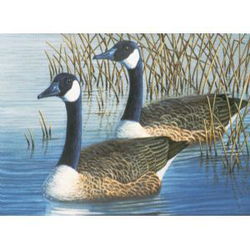 Image of Paint by Number Geese