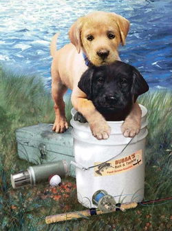 Image of Paint by Number | Fishin’ Buddies