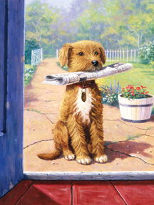 Product 658-0511 - View 1 658-0511 Product Image 1