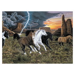 Image of Paint by Number Thunder Run (Horses)