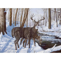 Image of Paint By Number Winter Bliss (Deer)