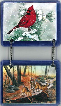 Image of Flip Cards on Ring Animals