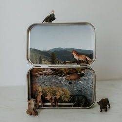 Image of Wilderness – Mini Magnetic Animal Tin