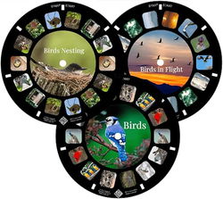 Image of Birds Reels 3 Pkg – View Master