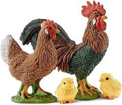 Image of Hen