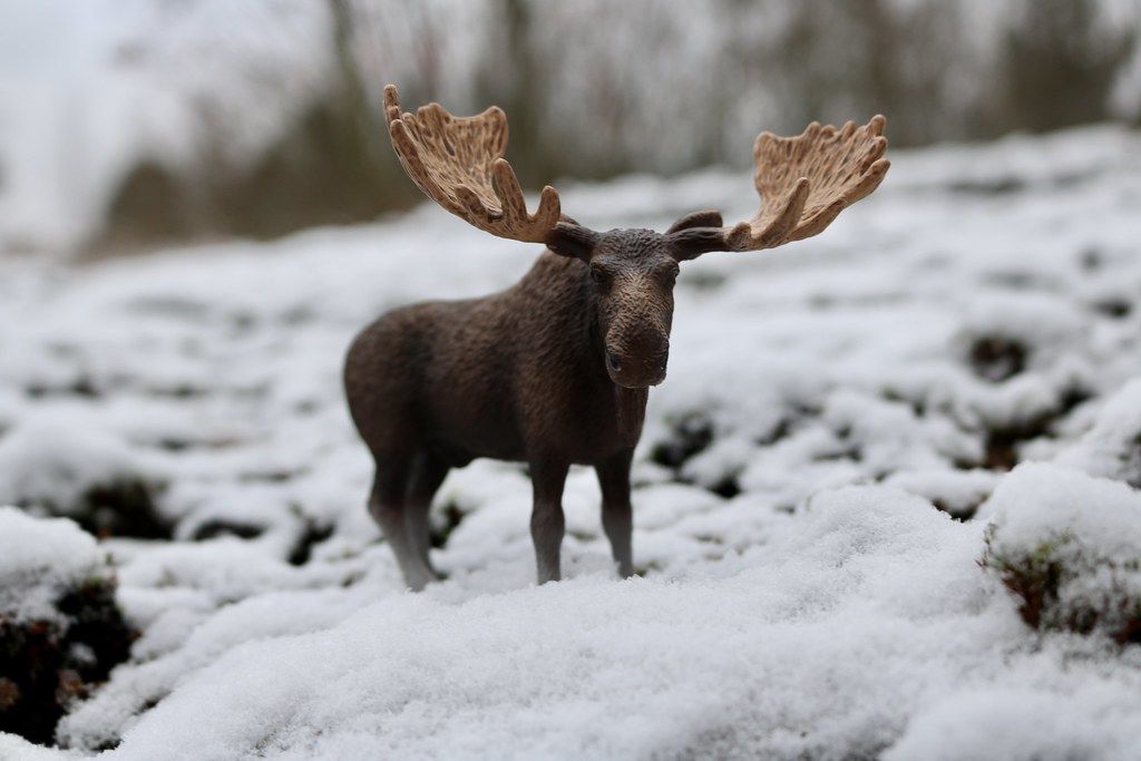 Product 660-0752 - View 6 660-0752 Product Image 6