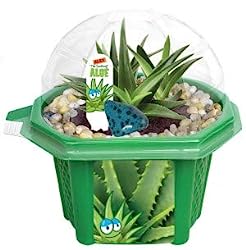 Image of Alex the Soothing Aloe Micro Dome