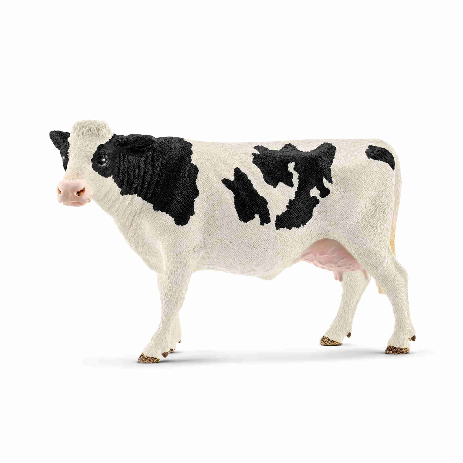 Image of Holstein Cow