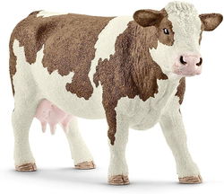 Image of Simmental Cow