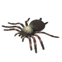 Image of Stretchy Tarantula