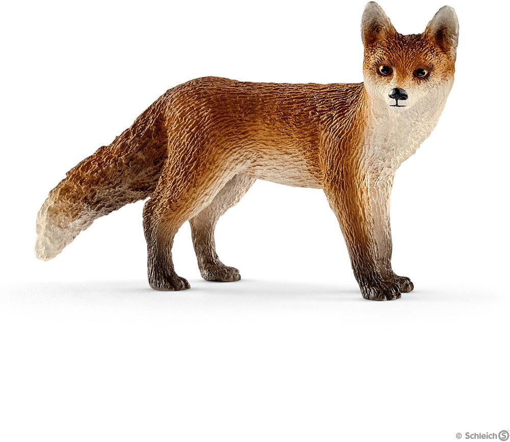 Image of Red Fox