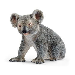 Image of Koala Bear