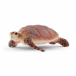 Image of Hawksbill Sea Turtle
