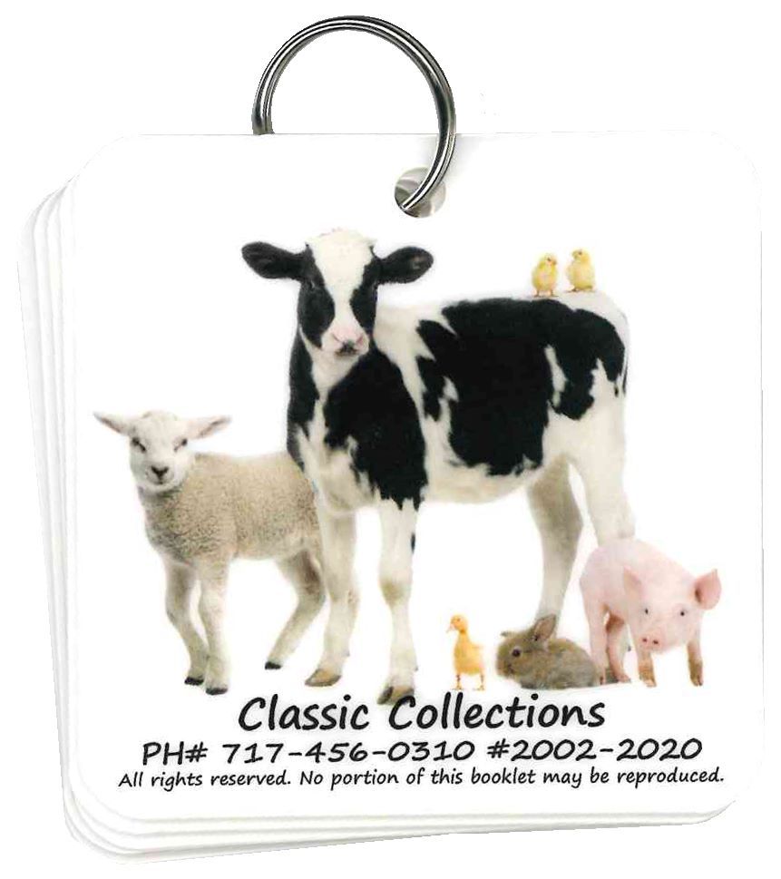 Image of Flip Cards Child’s First Booklet 5 cards