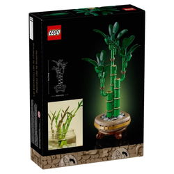 Image of Botanicals Lucky Bamboo