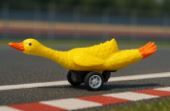 Image of Pull Back Chick Racer