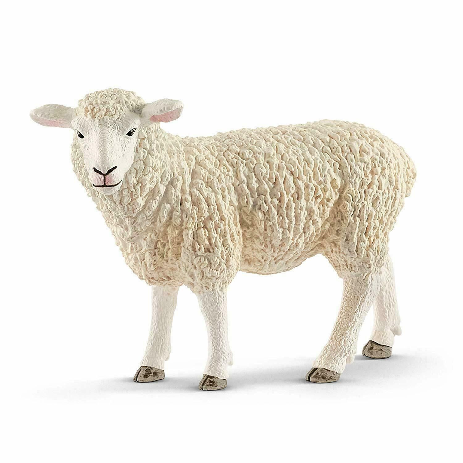 Image of Sheep