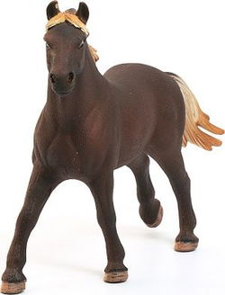 Image of Mustang Stallion