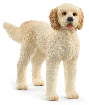 Image of Goldendoodle