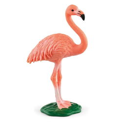 Image of Flamingo